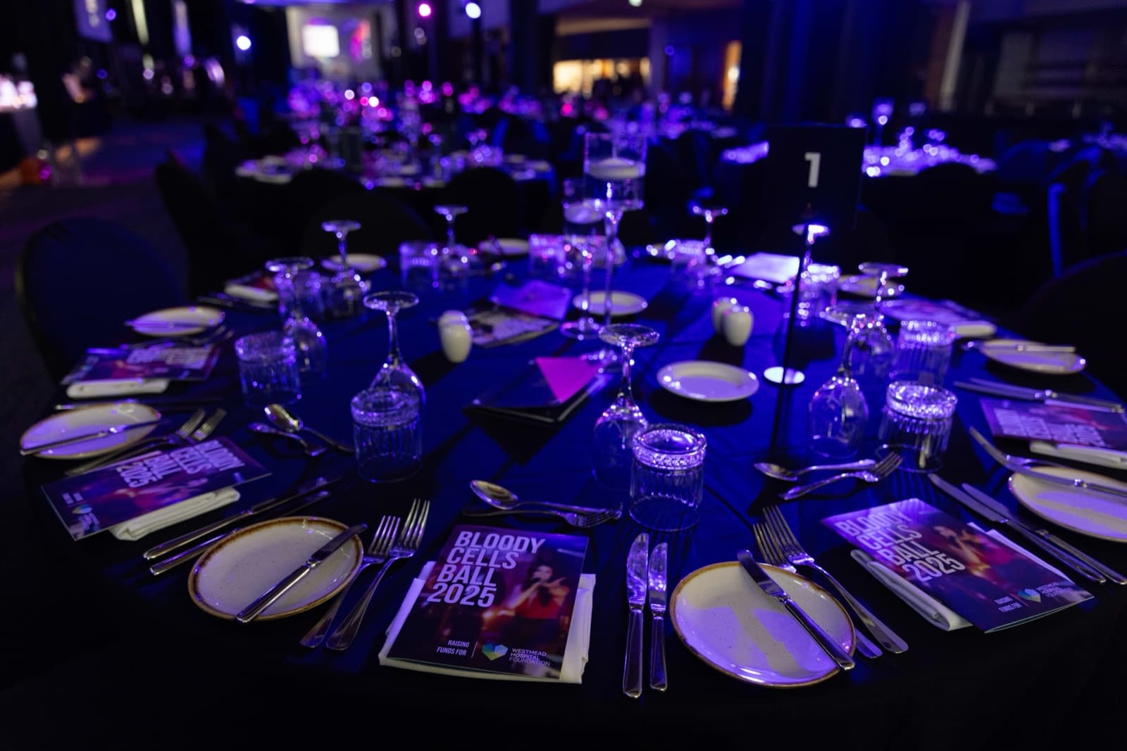 Printed 2025 Bloody Cells Ball event program and sponsor material photographed by Noni Carroll Photography